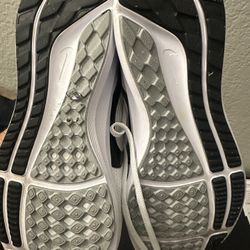 Nike Pegasus 40