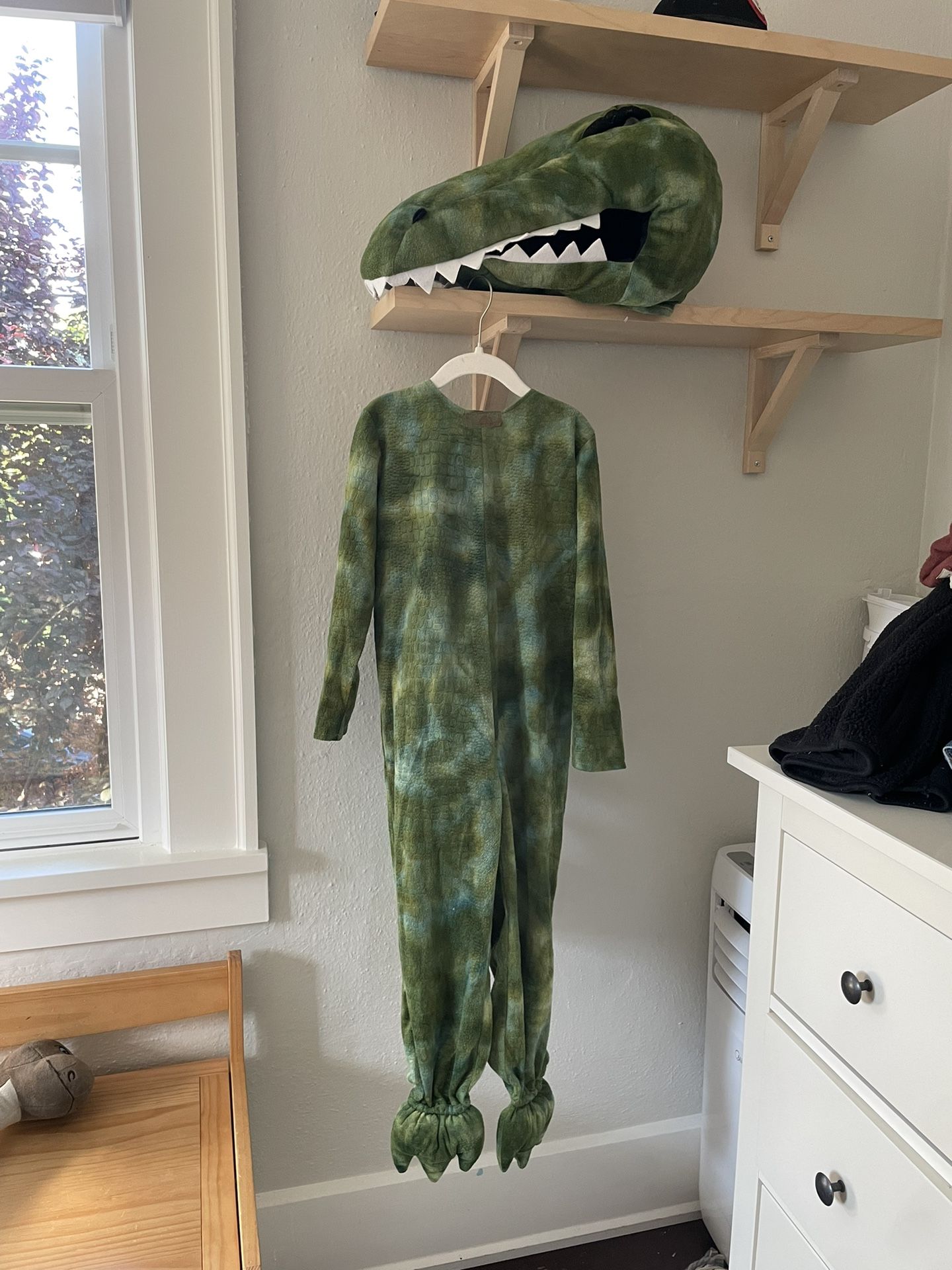 Pottery Barn Kids T-Rex Dinosaur Costume