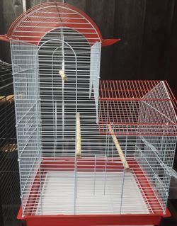 Birds cage
