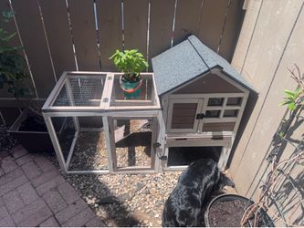 Rabbit Hutch/chicken coop