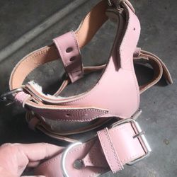 Collar And Harness Combo