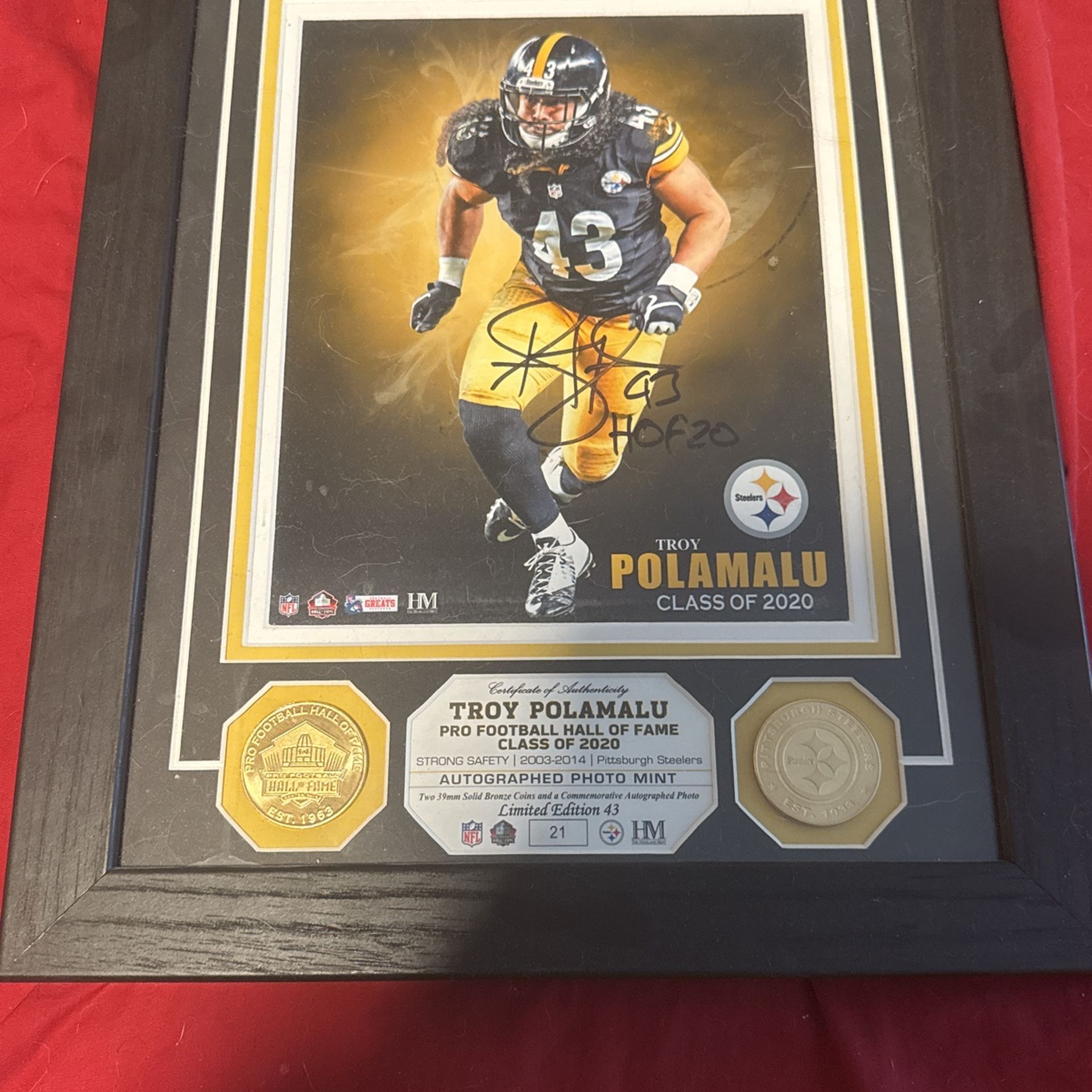 Troy Poluamalu HOF 20