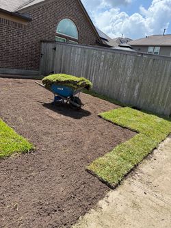 Grass sod