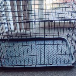 Kennel