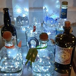 Party decor- Bottles with lights sold seperately 