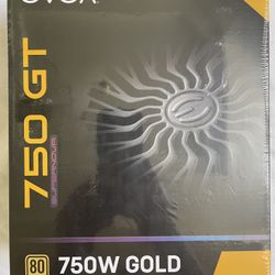 Brand New EVGA SuperNOVA 750 GT 80 Plus Gold 750W Power Module (220-GT-0750-Y1)