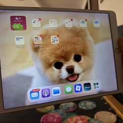 iPad Pro 1st Gen 64GB Works Perfectly 