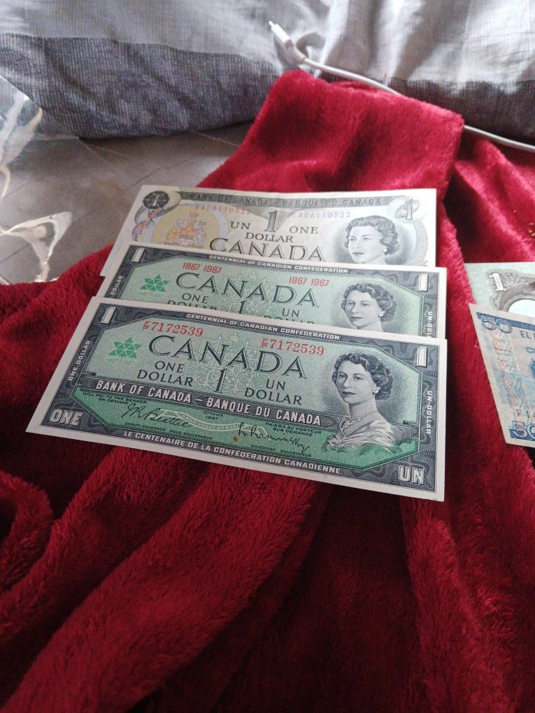 Foreign Currency Collection