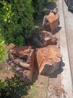Fire Wood