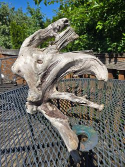 Driftwood 17x14x8