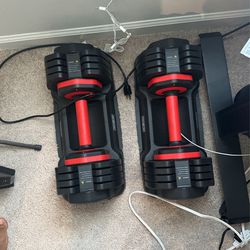 Free Weights - $100