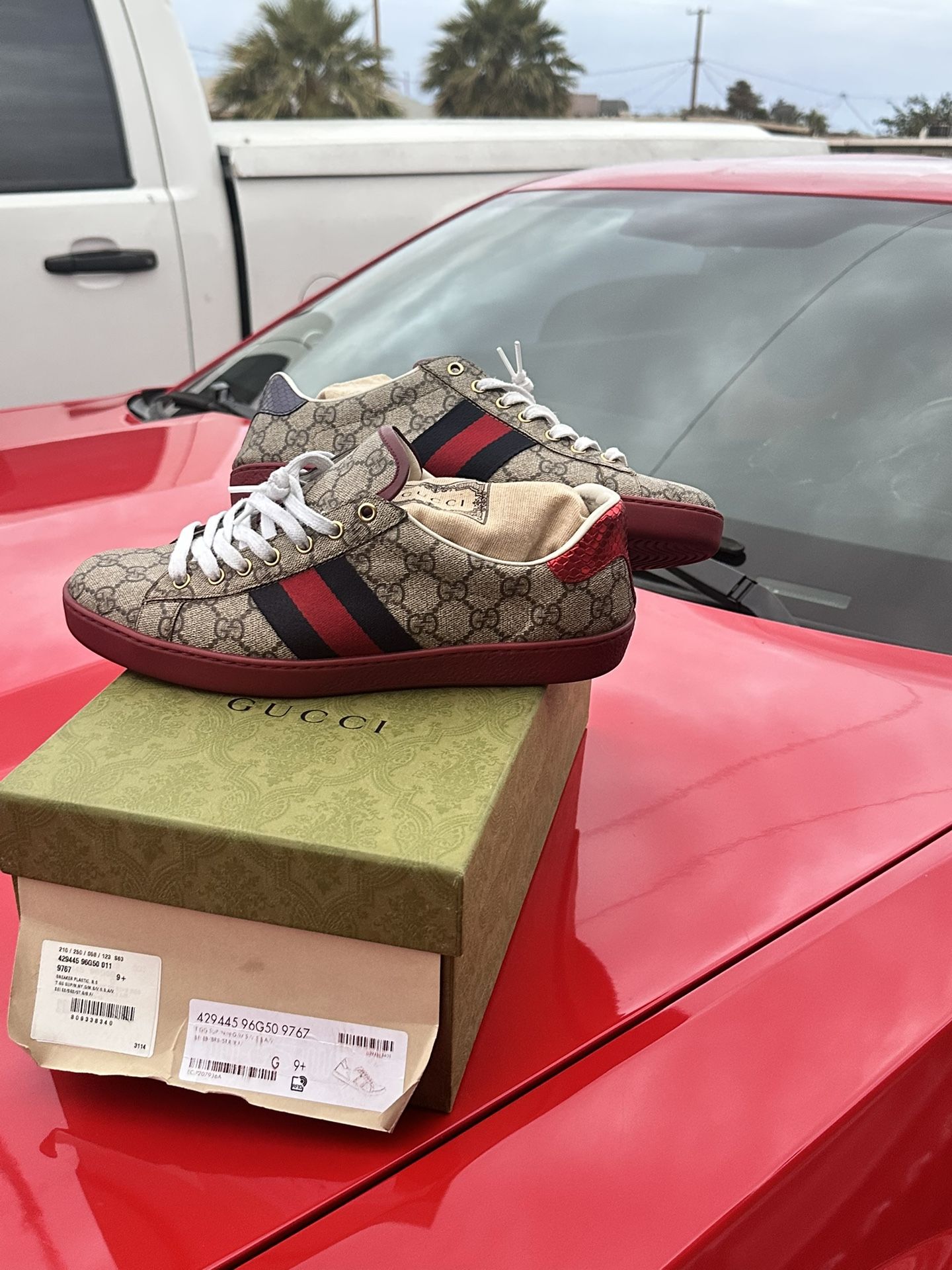 Gucci Shoes