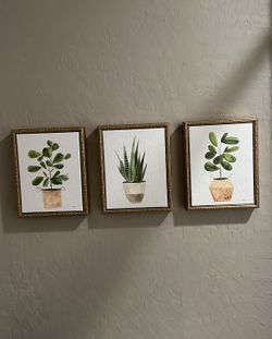 Set of 3 plant frames