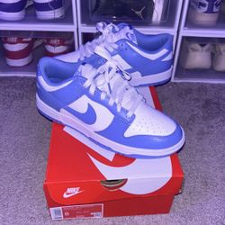 Polar Blue Dunk