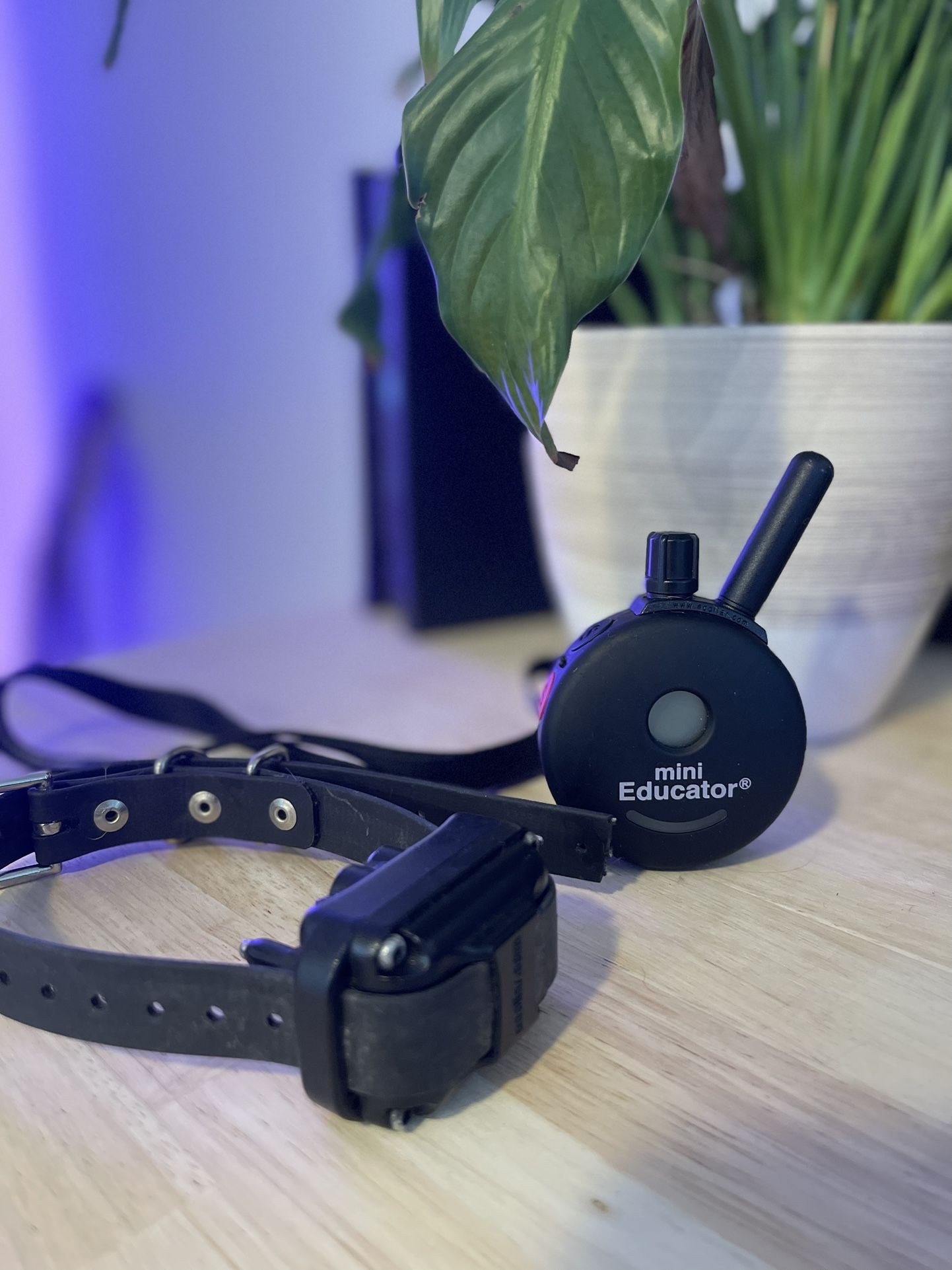 Mini Educator - Dog Training Collar