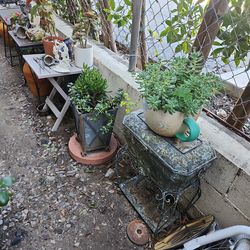 Sale sale everything is for sale!!! Open till 7pm