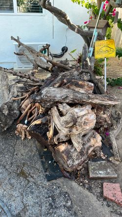 Fire wood