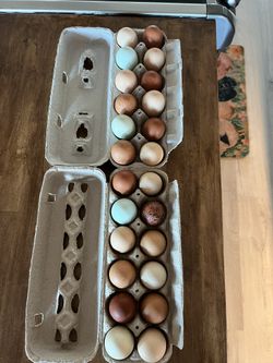 Eggs