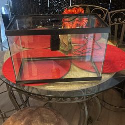 Gallon Fish Tank 