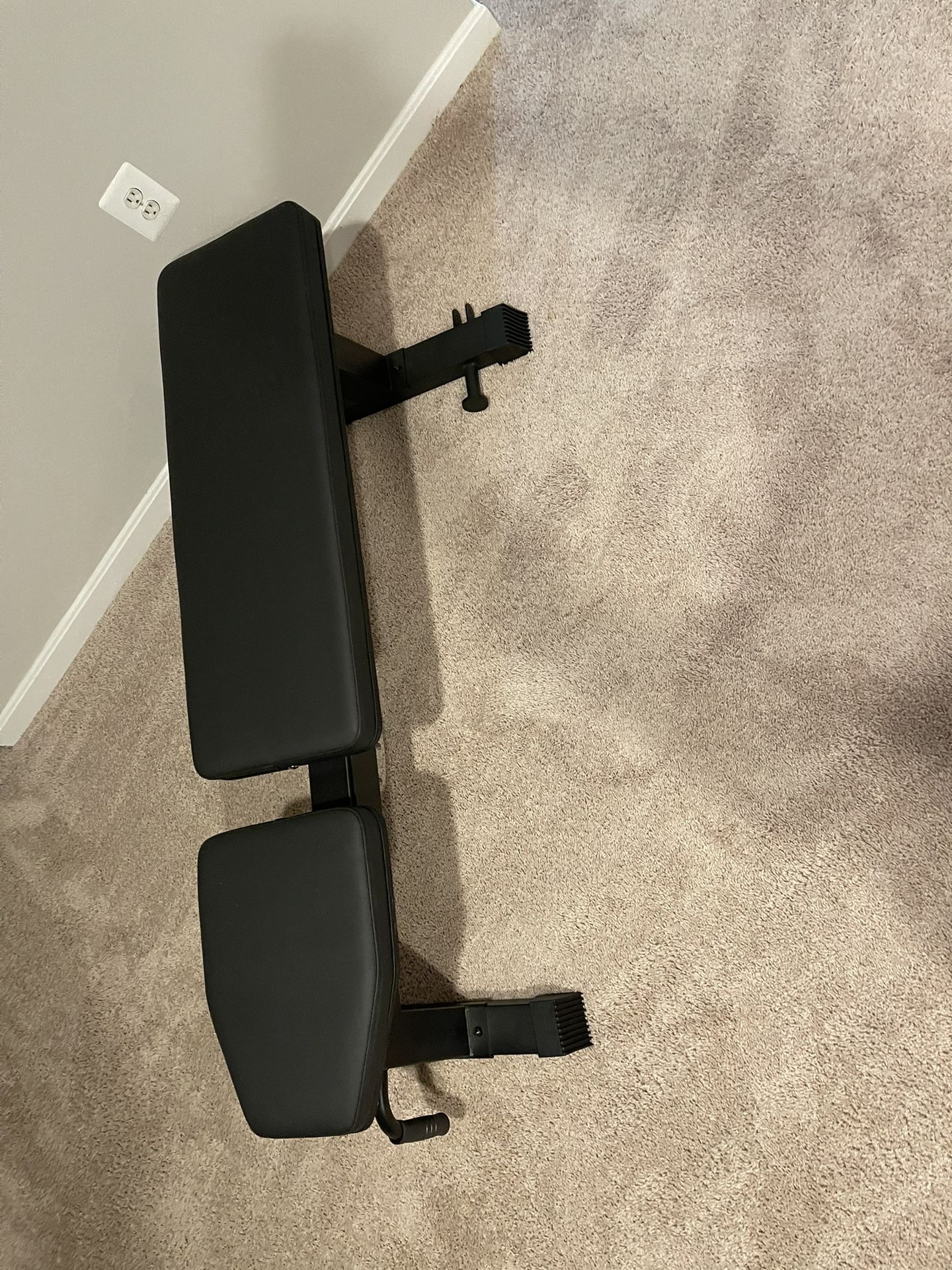 Titan Fitness Bench