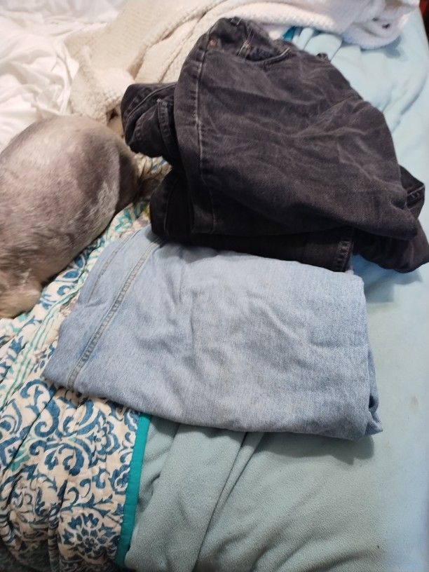 4 Pairs Of Men Jeans Black And Blue