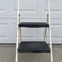 Heavy Duty Ladder  