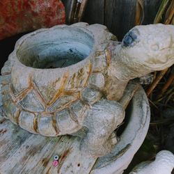 Concrete Turtle Pots . Tortugas Masetas 
