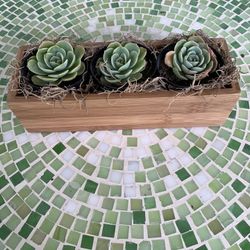 Small Wooden Box With Succulent Plants 