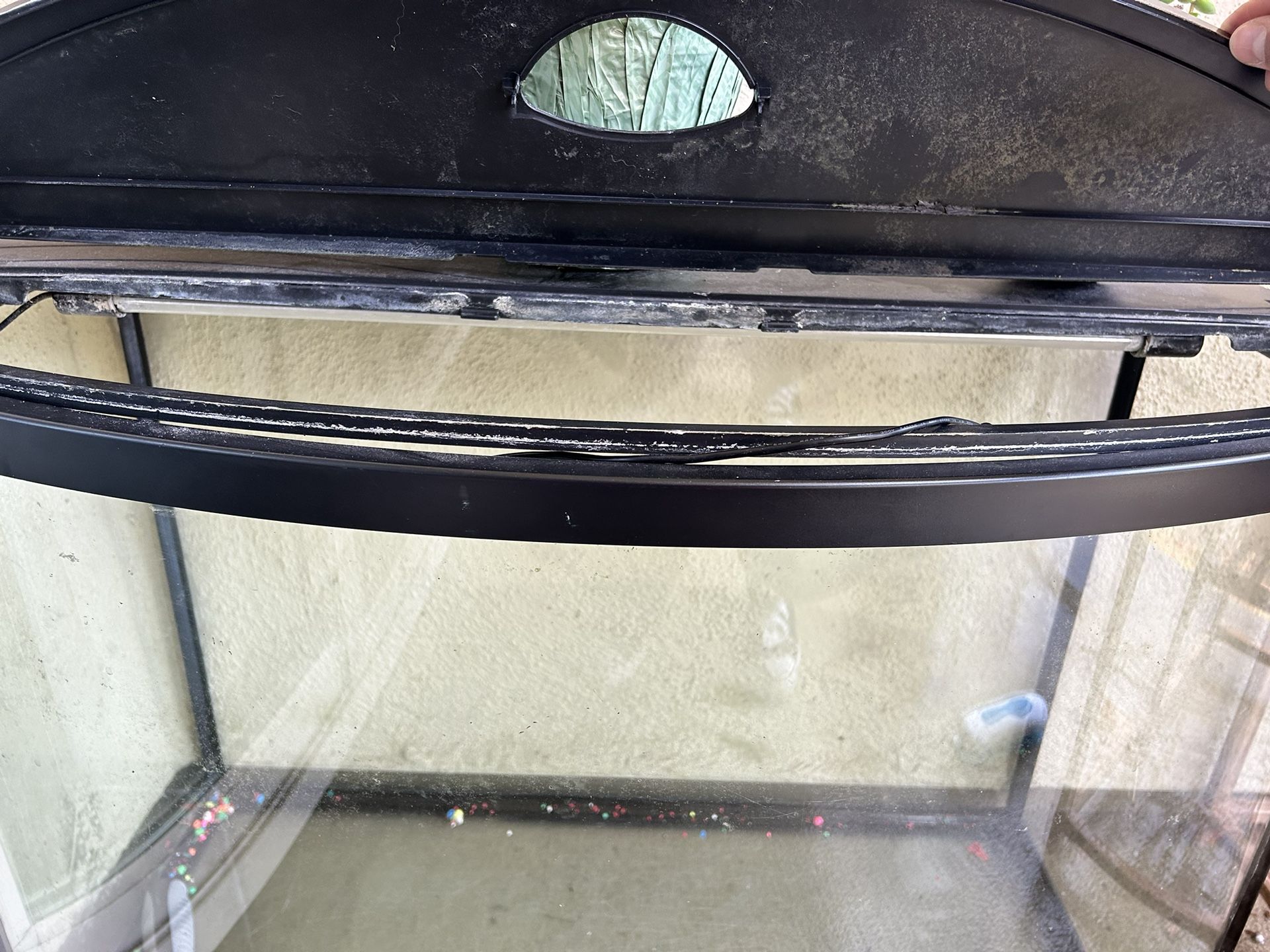 65 Gallon Tank