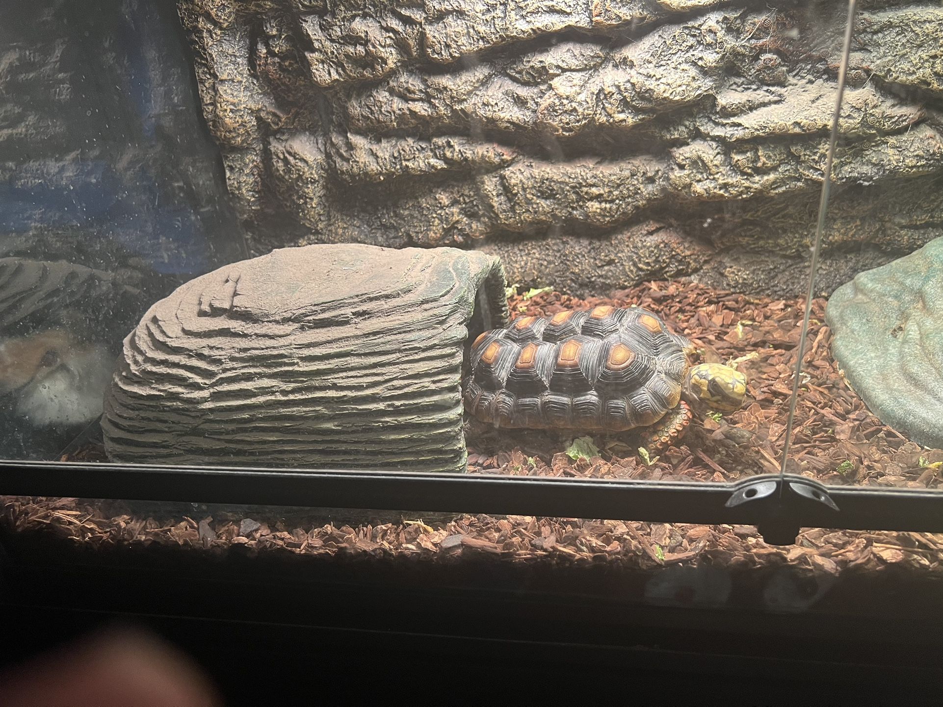 Reptile Tank Double Door