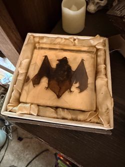 Acrylic bat