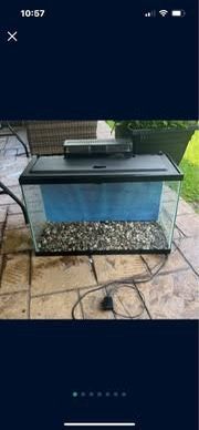 20 gallon fish tank