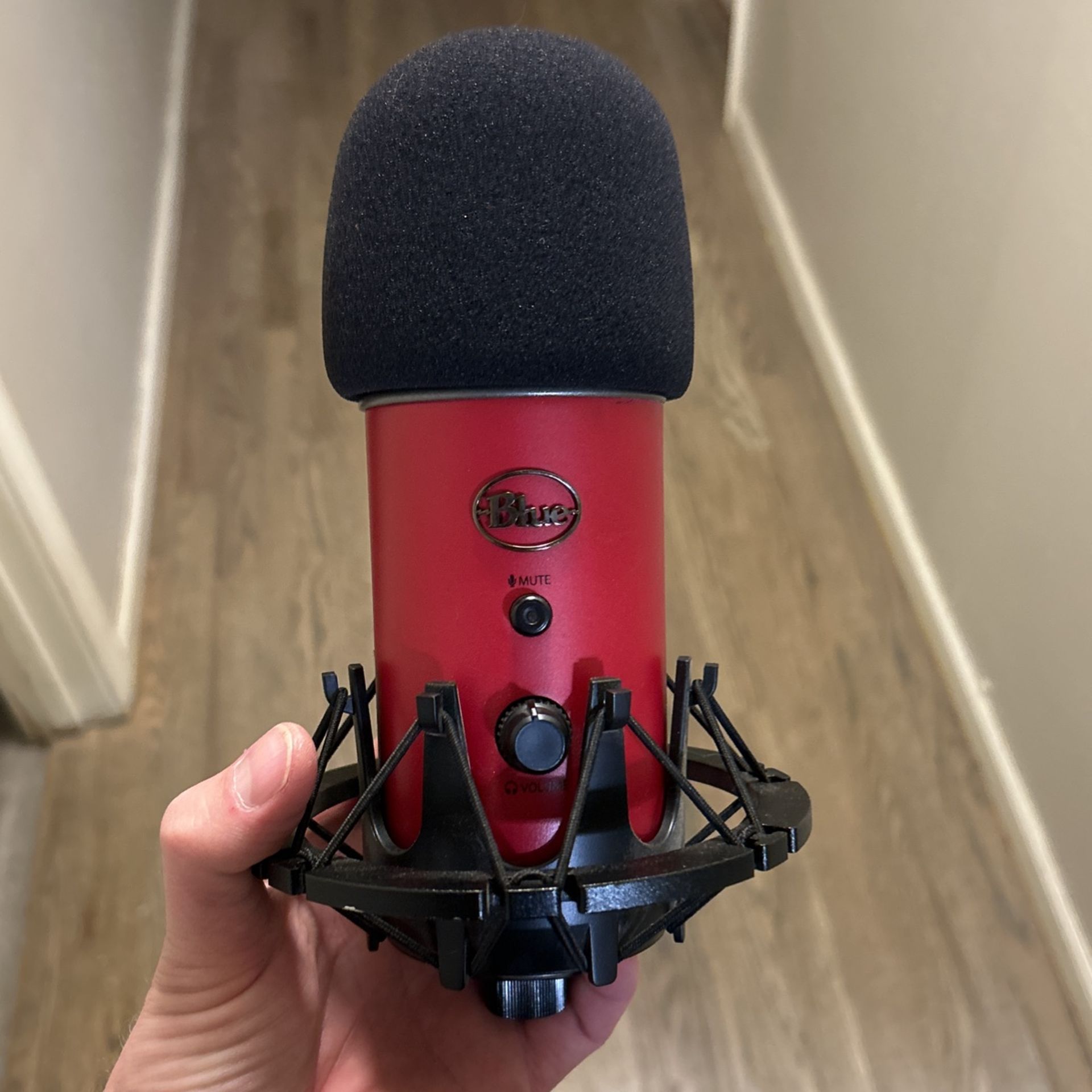 Yeti Mic