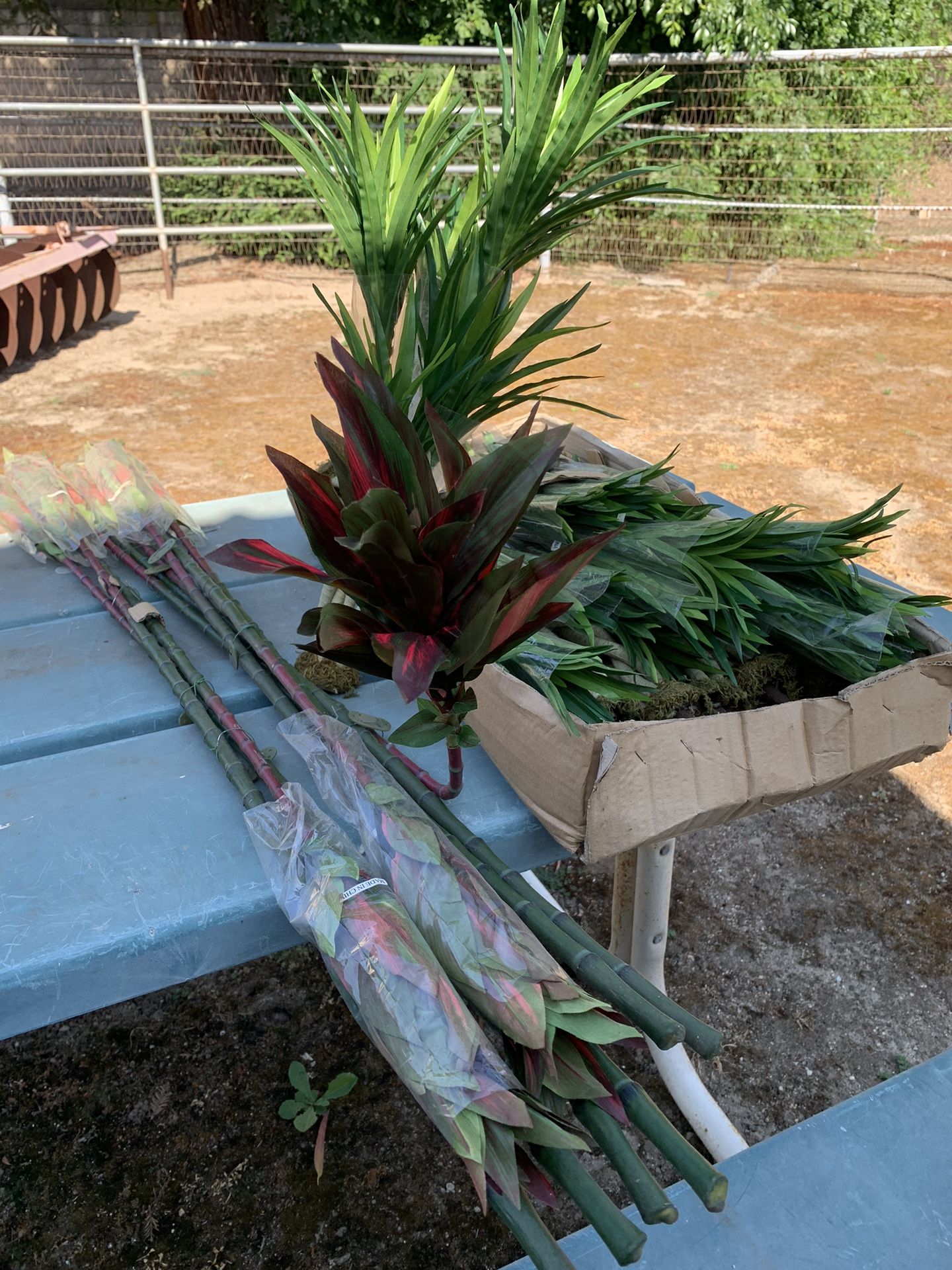 Imitation, bamboo, beautiful, red and green in the ends and very long and 11 plants to use in fake arrangements that are very high-quality quality