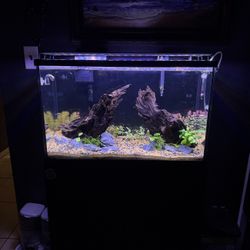 30 Gallon Aquarium