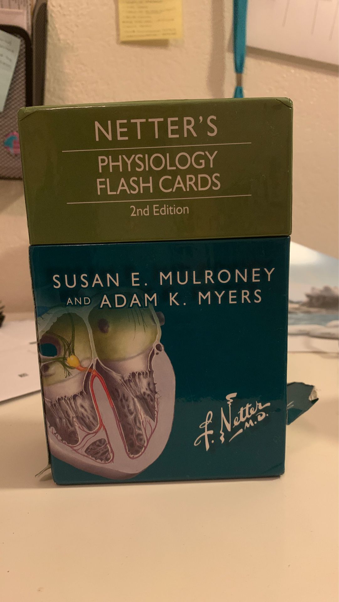 Physiology flash cards