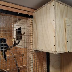 Custom Made Macaw Nesting Boxes NEW