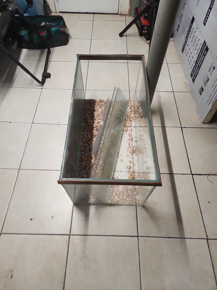 55 Gallon Fish Tank