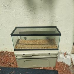 20 Gallon Tank Rocks And Lid