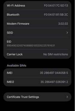 iPhone 16 pro max