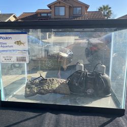 Glass Aquarium