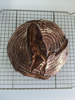 German sourdough - fresh and homemade by a GERMAN