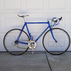 Schwinn paramount for sale best sale