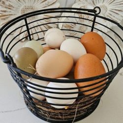 Fresh Eggs 