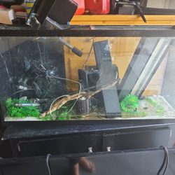 60 Gallons Aquarium 
