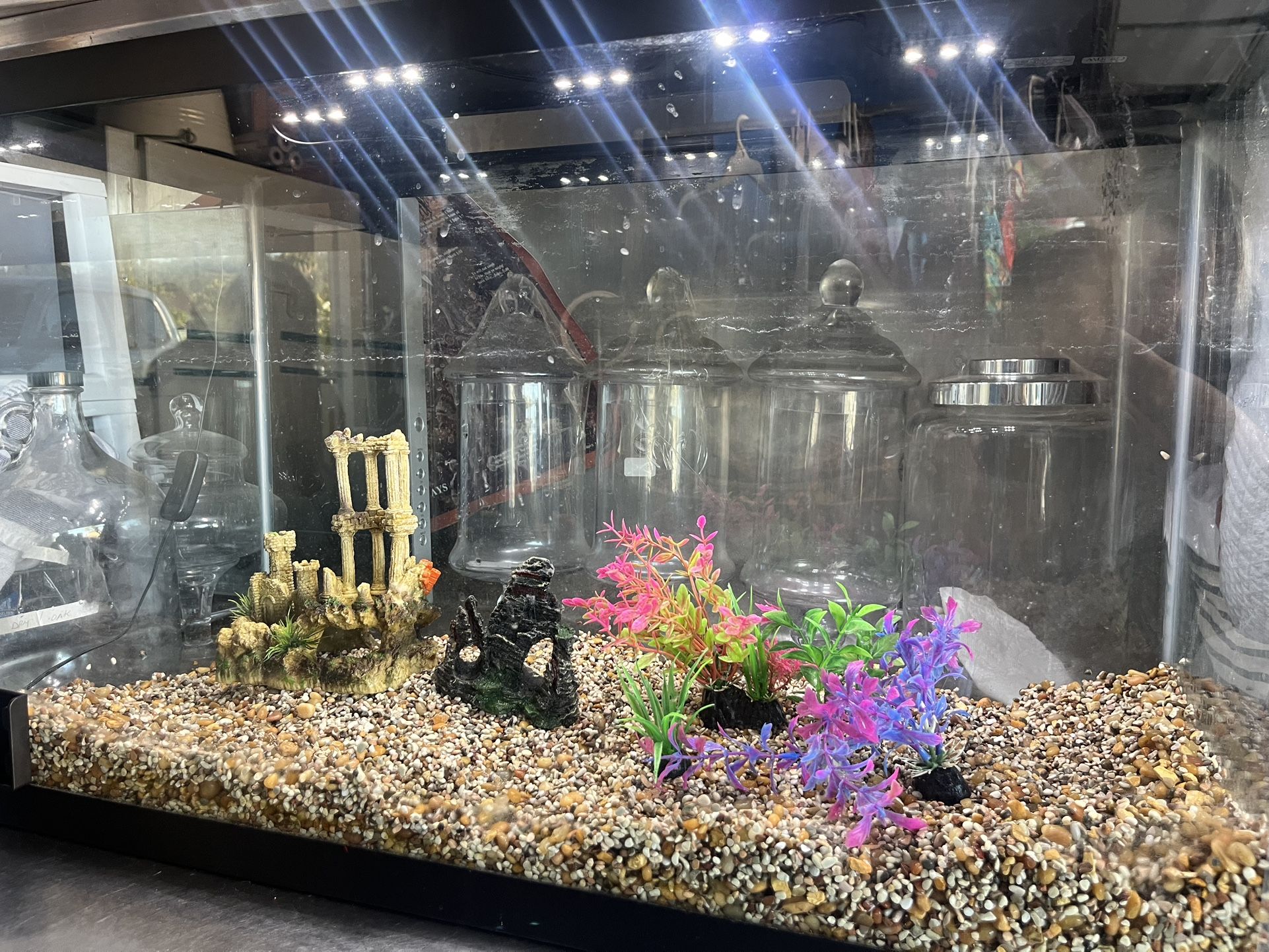 29 Gallon Fish Tank + Supplies