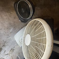 🔥 Fans For Sale 