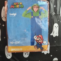 Luigi Costume