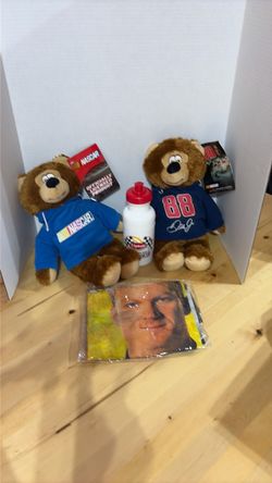 NASCAR & Dale Jr Hoodie Bears