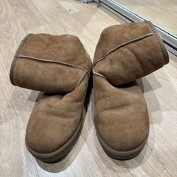 Brown Women Uggs